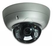 Intellinet Pro Serie R Network Dome