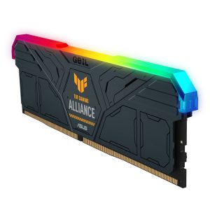Memory (RAM)