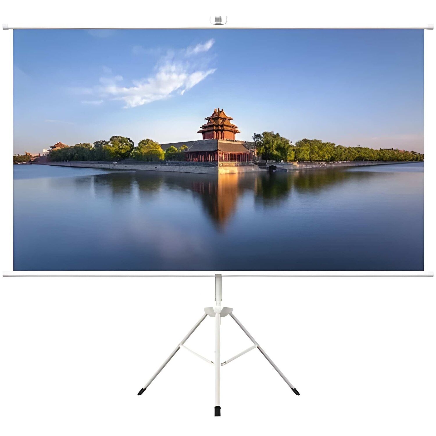 HTPNEO 100 Inch Portable Projector Screen With Tripod Stand