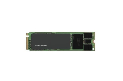 Dell 960G NVMe Read Intensive FIPS-140 M.2 2280 Riser CK