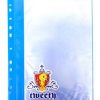 Tweety 11 Holes 10 Pockets Data Book