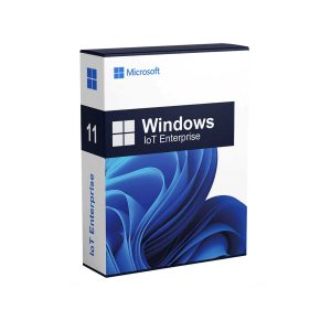 WINDOWS 11 IOT ENTRY ENTERPRISE 2024 LTSC ONE KEY PER COA