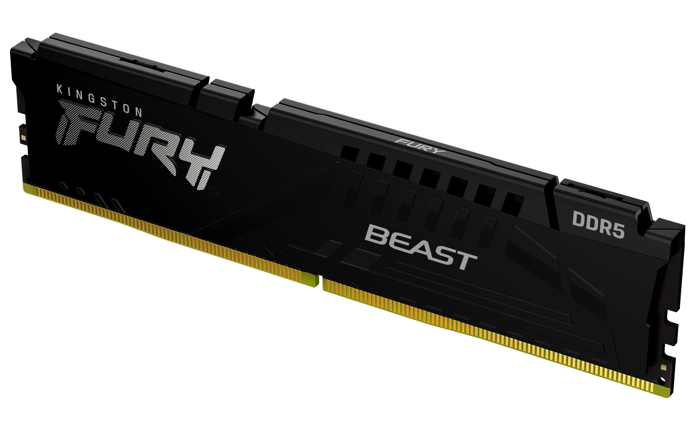 16GB 5600MT/s DDR5 CL36 DIMM FURY Beast Black EXPO
