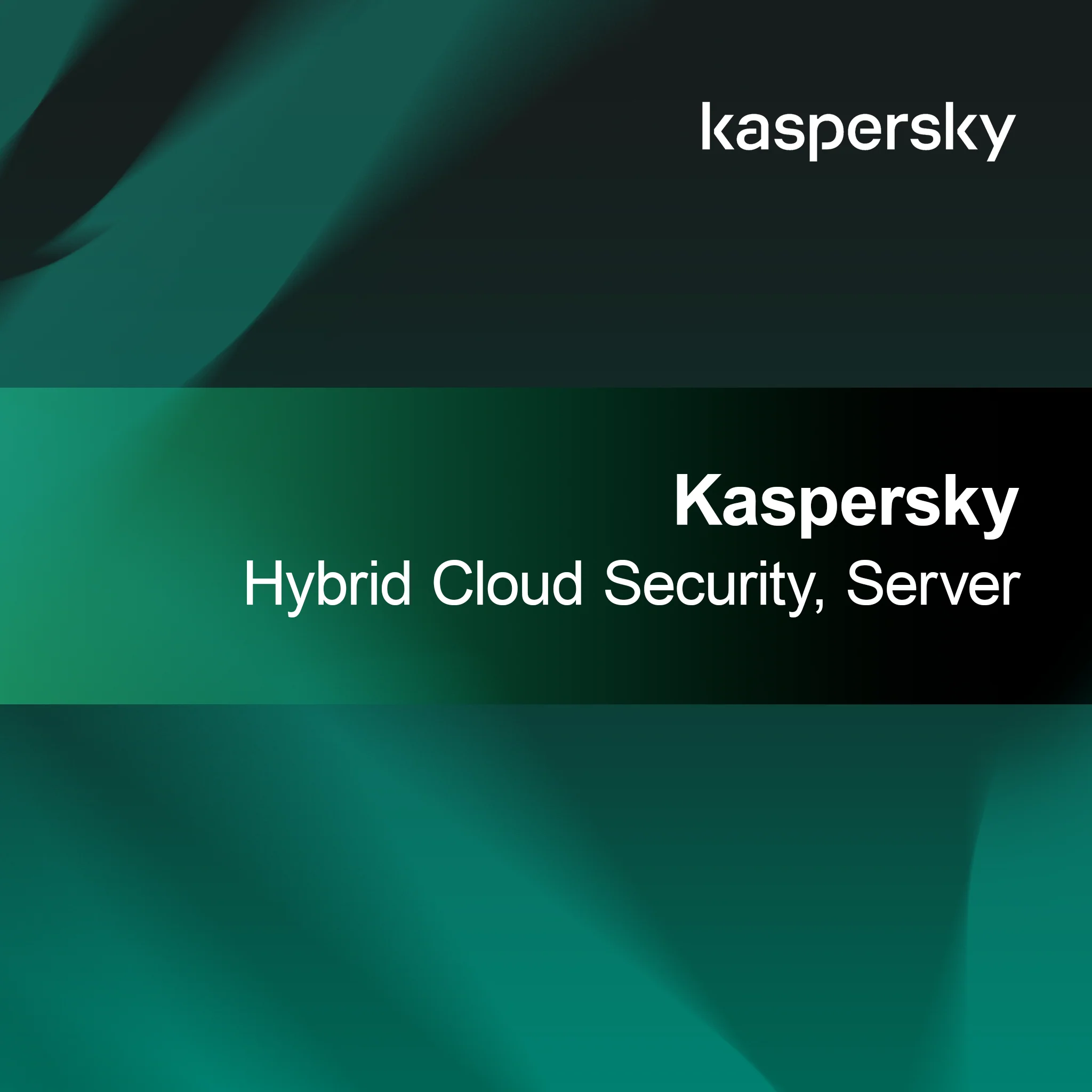 Kaspersky Hybrid Cloud Security Server 1-1 user Public Renewal 3 Year