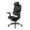 Thunderx3 Flex Pro Ergonomic Chair - Mesh Black (TEGC-3076101.12).